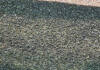 Technology in hemp production
