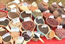 Kenyan farmers granted reprieve in seed-saving dispute