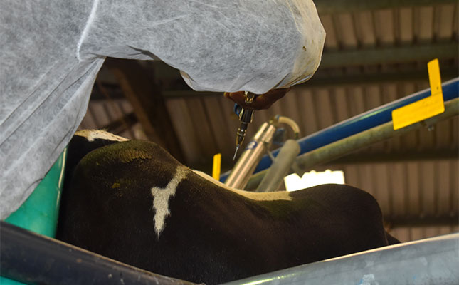 KZN farmers confront minister of agriculture as FMD crisis deepens