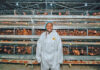 From planning to peak lay: building a profitable egg business