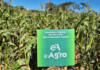 Satellite technology a boost to Zimbabwe farms
