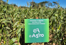 Satellite technology a boost to Zimbabwe farms