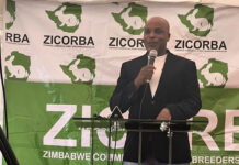 Zimbabwe’s rabbit farming sector eyes tenfold growth