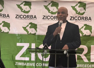 Zimbabwe’s rabbit farming sector eyes tenfold growth