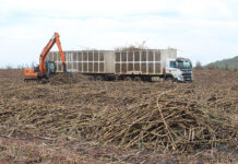 RCL profits down 30% as sugar division pressure intensifies