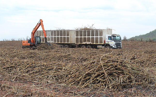 RCL profits down 30% as sugar division pressure intensifies