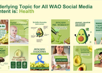 Inside the social media strategy for growing Europe’s avocado appetite