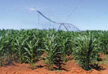 Fertiliser sharp price increases a major concern for farmers