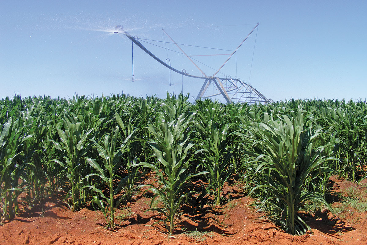 Fertiliser sharp price increases a major concern for farmers