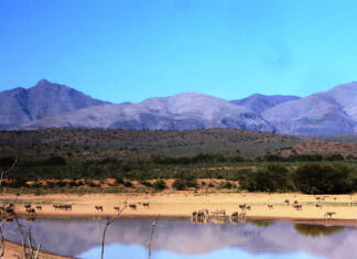 Re-aligning ranching, wildlife management, and science-part 1