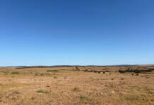Court confirms market value as baseline for land compensation talks