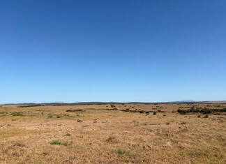 Court confirms market value as baseline for land compensation talks