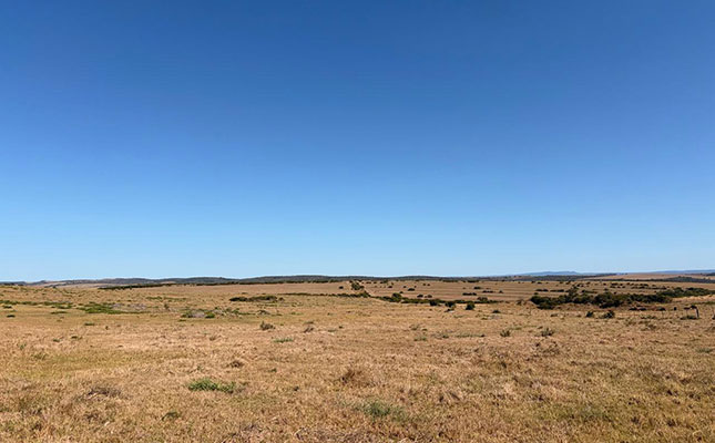 Court confirms market value as baseline for land compensation talks