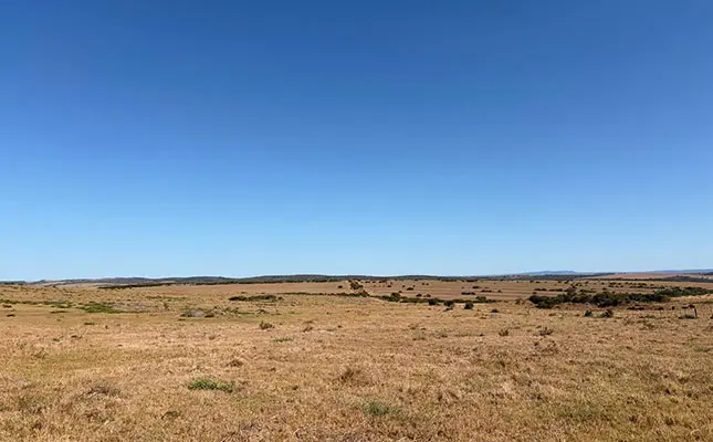 Court confirms market value as baseline for land compensation talks