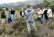 Important grazing questions to ask yourself