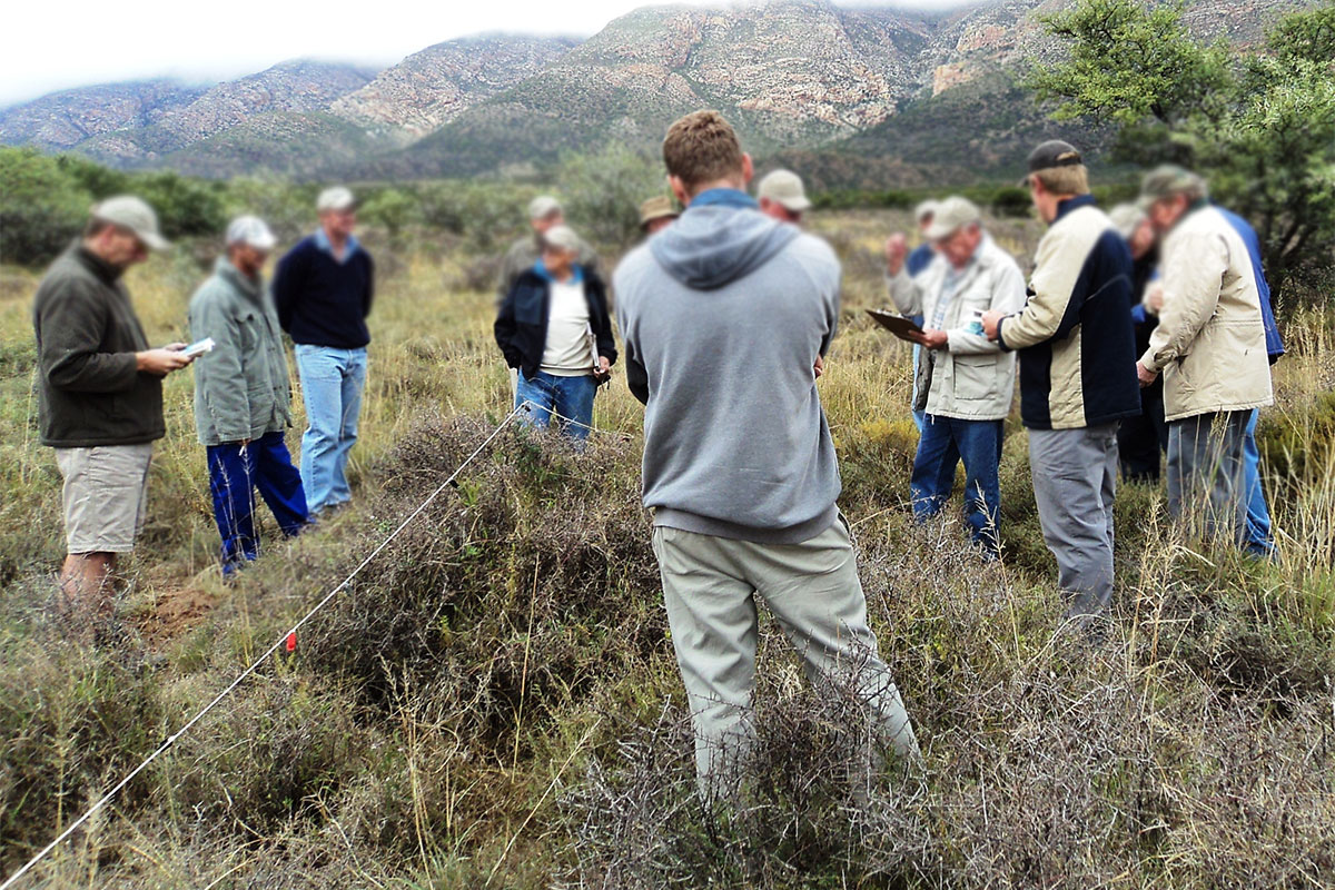 Important grazing questions to ask yourself