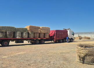 Western Cape livestock farmers to receive R22m in fodder support