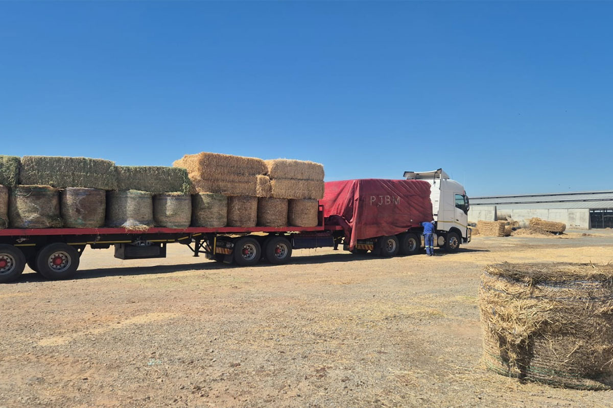 Western Cape livestock farmers to receive R22m in fodder support