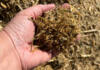 Animal feed industry stabilises despite uneven sector performance