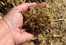 Animal feed industry stabilises despite uneven sector performance
