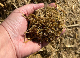 Animal feed industry stabilises despite uneven sector performance