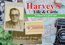 Harvey’s life and legacy: a tribute to a great cattleman