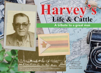 Harvey’s life and legacy: a tribute to a great cattleman