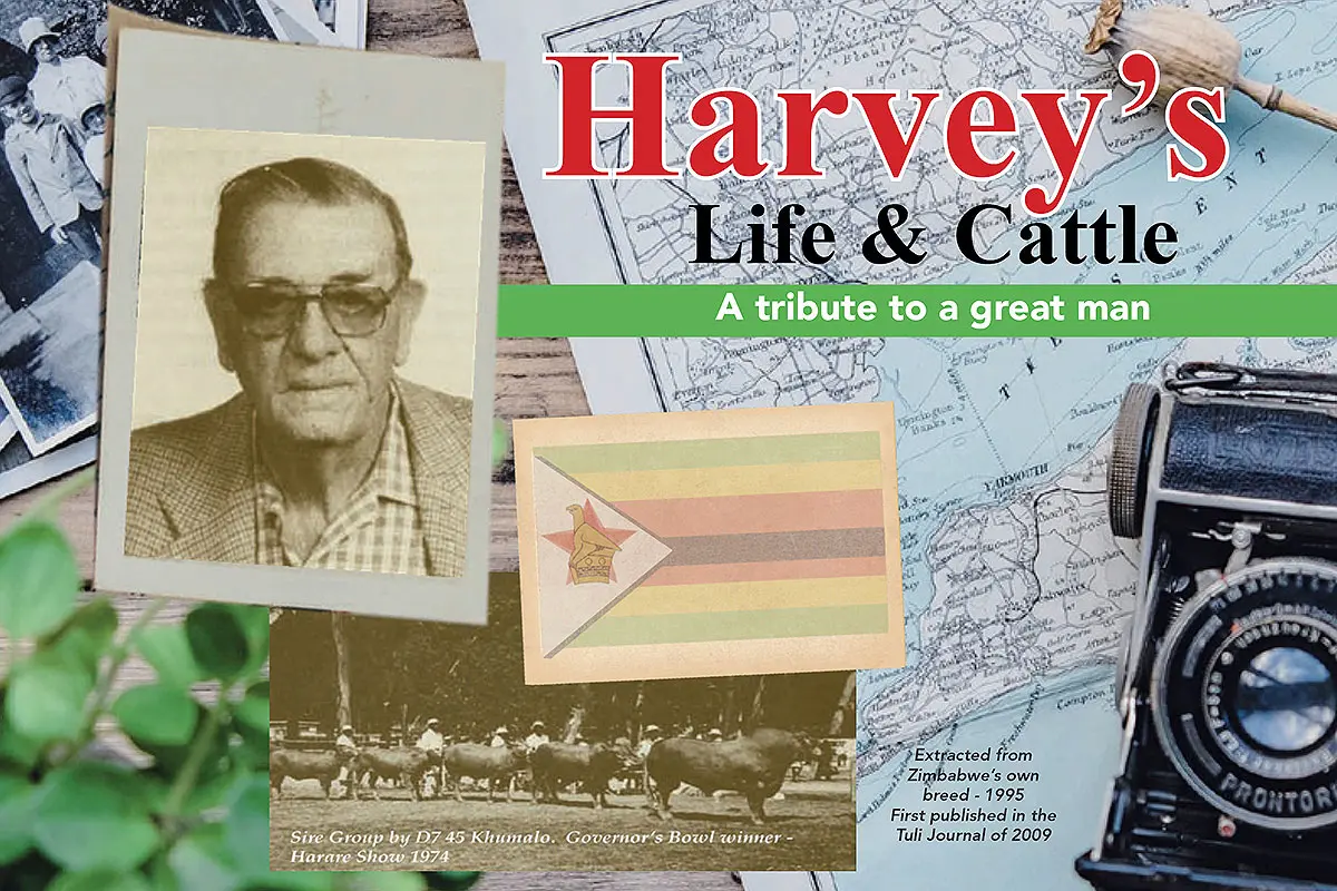 Harvey’s life and legacy: a tribute to a great cattleman