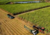 Zimbabwe sets ambitious irrigation plans