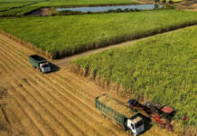 Zimbabwe sets ambitious irrigation plans
