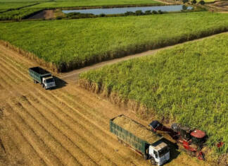 Zimbabwe sets ambitious irrigation plans