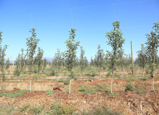 Farmers urged to act now on water risks