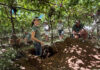 What lies beneath: insights from a soil scientist
