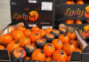 Fruit export triangle from South Africa to Morocco and back