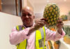 Pineapples of all shapes and sizes take top honours at Bathurst Show