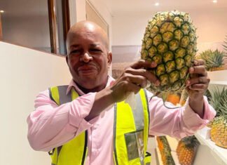 Pineapples of all shapes and sizes take top honours at Bathurst Show