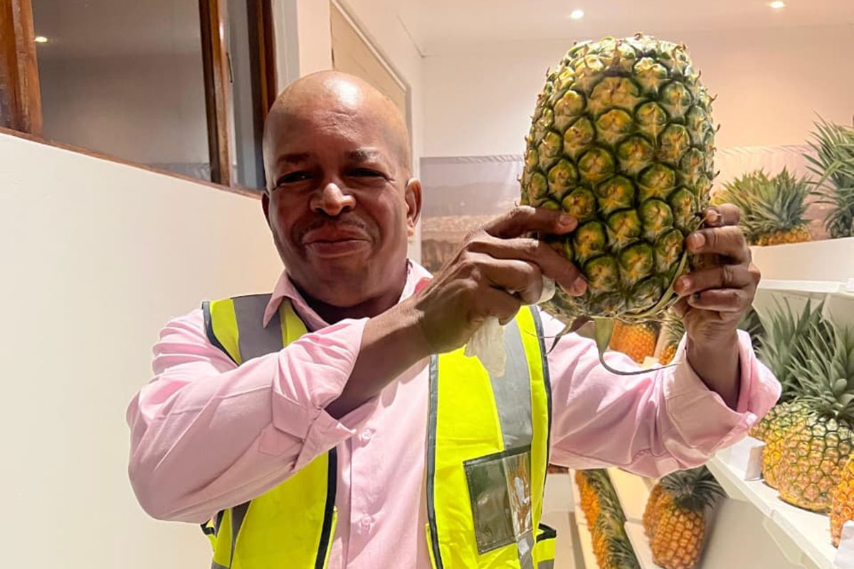 Pineapples of all shapes and sizes take top honours at Bathurst Show