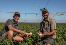 Panda Potatoes reflects Agrico’s commitment to African farmers