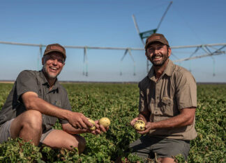 Panda Potatoes reflects Agrico’s commitment to African farmers