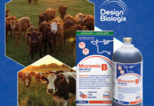 Win 1 of 20 bottles of Micromin B multi-mineral supplement