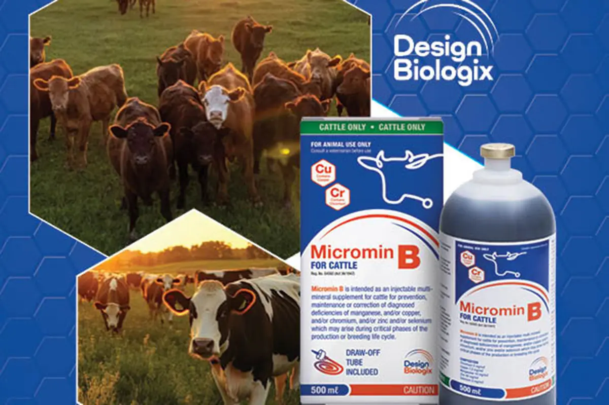 Win 1 of 20 bottles of Micromin B multi-mineral supplement