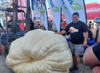 Lotz bags top prize with 1 221kg pumpkin