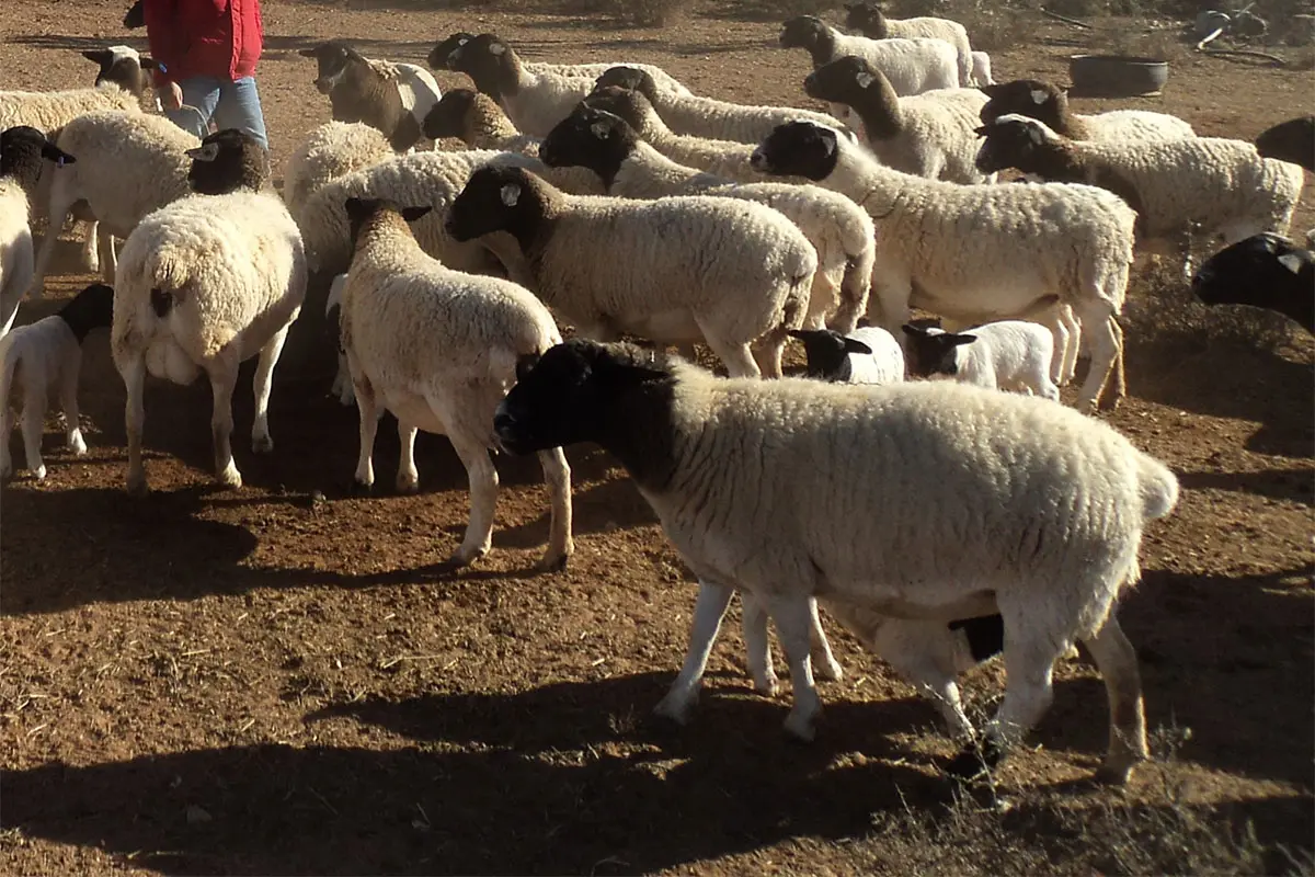 Are you more than just a farmer?