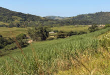 Tongaat Hulett funding deal brings some relief to sugar industry