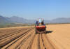 Potatoes SA targets levy shake-up to fund next phase of expansion