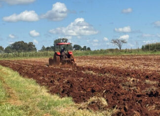 Rising fuel costs hit Zimbabwe farmers, threatening food supply