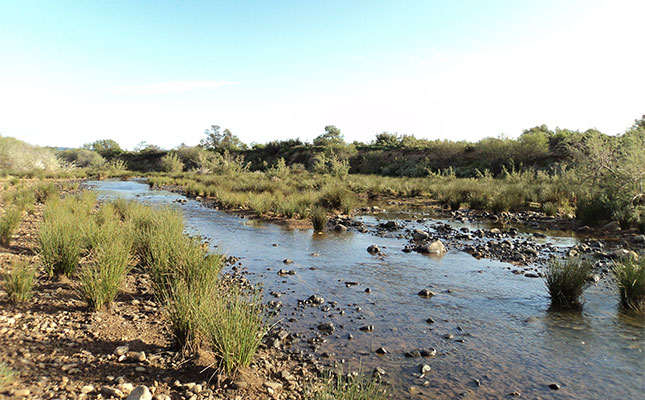 Wildlife management and science: Focusing on the basics-part 2