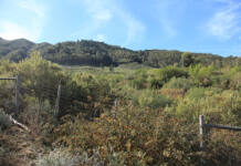Practical guide to veld restoration for farmers