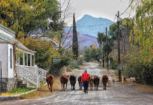 A Karoo farm full of fireside tales