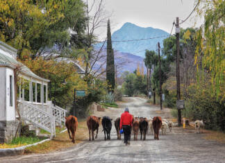 A Karoo farm full of fireside tales